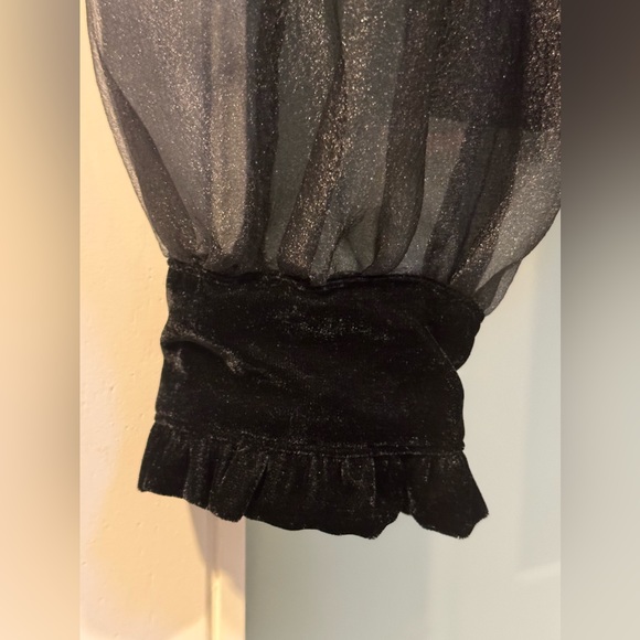 NWOT Zara Velvet blouse with Sheer Puffy Sleeves. Color Black / Size Small - Picture 8 of 10
